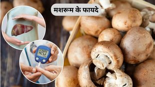 mushroom khane ke fayde, benefits of eating mushroom in hindi, how to eat mushroom, mushroom benefits for health in hindi, mushroom ke fayde, Mushroom