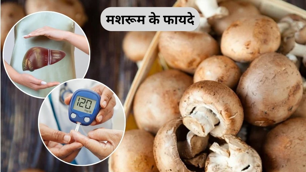 mushroom khane ke fayde, benefits of eating mushroom in hindi, how to eat mushroom, mushroom benefits for health in hindi, mushroom ke fayde, Mushroom
