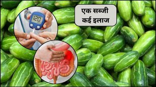 Ways to reduce diabetes, what to eat to reduce blood sugar, diet plan for diabetes, benefits of eating tondlichi bhaji, which vegetables control blood sugar, diabetes symptoms signs causes and remedies