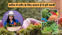 बारिश के मौसम ये 1 हरी सब्जी सेहत के लिए है अमृत, इम्यूनिटी बूस्ट के साथ इन 5 समस्याओं में भी हो सकती है असरदार