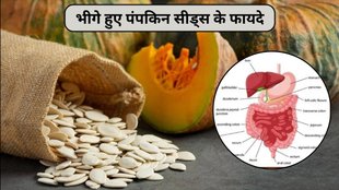 pumpkin seeds for digestive system, consuming 5 soaked pumpkin seeds daily, benefits of consuming 5 soaked pumpkin seeds daily, pumpkin seeds for male reproductive health