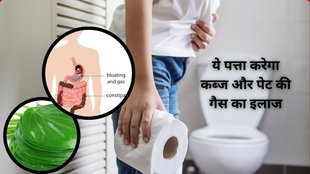 constipation cure,improving digestion,easing stomach pain, Amazing benefits of betel leaves,betel leaves benefits,betel leaves for improve neurological problems,