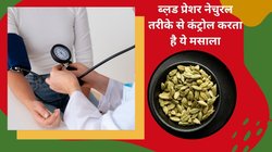 BP कंट्रोल करने का देसी नुस्खा है छोटी इलायची, नेचुरल तरीके से करती है बीपी कम, जानिए कैसे ये मसाला बिना साइड इफेक्ट्स देता है आराम
