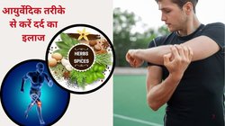 कमजोर हड्डियों में जान फूंक देंगे ये 4 हर्ब्स, बॉडी में होने वाले सभी तरह के दर्द का हो जाएगा इलाज, बाबा रामदेव से जानिए कैसे