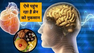 Worst Foods for Memory, artificial sweeteners brain health, brain damaging foods, dementia risk foods, foods that harm brain, fried foods brain damage