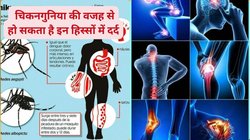 मॉनसून में बुखार और जोड़ों का दर्द हो सकता है खतरे की घंटी! चिकनगुनिया के हो सकते हैं संकेत, जानिए लक्षण और स्थिति को काबू करने का तरीका