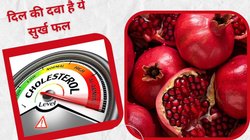 क्या अनार का जूस कोलेस्ट्रॉल को कंट्रोल करता है? नसों में जमा गंदगी को साफ करता है, विशेषज्ञों और वैज्ञानिक अध्ययनों से जानें