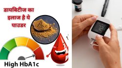 डायबिटीज के लिए रामबाण है ये पाउडर, न मेडिसिन और न ही महंगे सप्लीमेंट की दरकार, जानें Sugar का आयुर्वेदिक इलाज