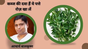 curry leaves, curry leafs benefits, constipation cure, curry leaves benefits,curry leaves,curry patta benefits,curry patta ke fayde,chewing curry leave benefits,