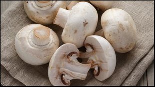 mushroom, clean mushroom, mushroom cooking, mushroom ko saaf kaise kare,