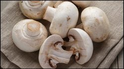 मशरूम को कैसे करें साफ? सब्जी बनाने से पहले फॉलो करें ये ट्रिक्स; मिनटों में होगा क्लीन