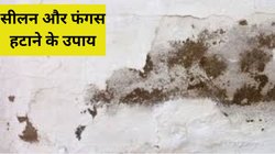बारिश शुरू होते ही किचन में लगने लगी सीलन और फंगस? इस आसान हैक से पाएं छुटकारा