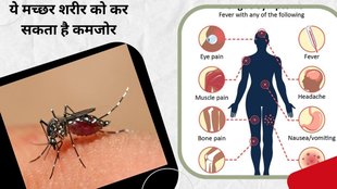 dengue symptoms, dengue fever, dengue test, mosquito, dengue mosquito, malaria, dengue malaria, symptoms of dengue, dengue fever symptoms,