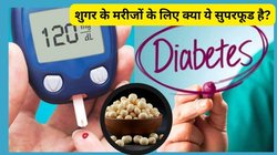 डायबिटीज मरीजों को क्या मखाना खाना चाहिए? क्या ये सुपरफूड Diabetes Friendly है, एक्सपर्ट से जानिए
