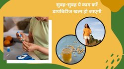 प्री डायबिटीज हैं तो तुरंत करें लाइफस्टाइल और डाइट में ये 6 बदलाव, कुछ ही महीनों में रिवर्स हो जाएगी बीमारी, जानिए कैसे