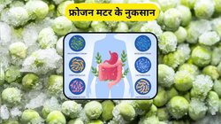 फ्रोजन मटर खाएं या नही? पाचन से लेकर सेहत को हो सकते हैं ये 5 बड़े नुकसान, जानिए