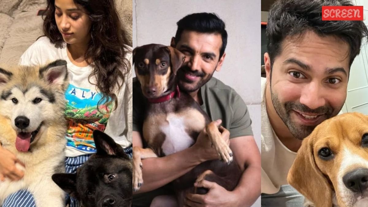 John Abraham to Chief Justice