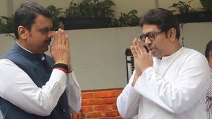 devendra fadnavis| raj thackeray| maharashtra news