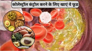 food reduce cholesterol level naturally, foods for cholesterol control, cholesterol control karne wale food, cholesterol control karne ke liye kya khaye