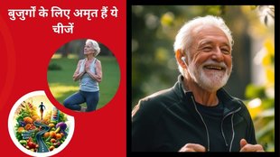 Desi foods for seniors,Desi foods for longevity for seniors,Desi foods for longevity,Desi foods,healthy desi foods