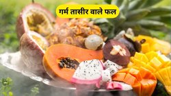 शरीर में गर्मी बढ़ा सकते हैं ये 4 फल, खाने से पहले जान लें फायदे और नुकसान, नहीं तो पड़ जाएंगे लेने के देने