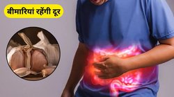 सेहत के लिए अमृत है लहसुन, खाते समय भूलकर भी नहीं करें ये 4 गलती, डॉक्टर ने बताया सही तरीका