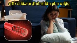 हीमोग्लोबिन कैसे बढ़ाएं? इन 5 चीजों को खाने से बॉडी में नहीं होगी खून की कमी, बीमारियों से भी होगा बचाव
