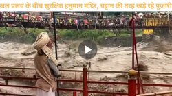 कुल्लू में व्यास नदी का विकराल रूप, प्रचंड जलप्रलय के बगल में हनुमान मंदिर के अंदर अडिग खड़े रहे पुजारी, रोंगटे खड़े कर रहा Viral Video