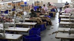 अमेरिका के 25% टैरिफ से मचेगा हाहाकार? भारतीय गारमेंट इंडस्ट्री ने दी ‘लाखों नौकरियां पर खतरे’ की चेतावनी