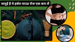 5 ग्रीन टी का काम 1 ये हर्बल पाउडर करेगा, एक कप रोज़ पिए, फटाफट गलेगी चर्बी, मूड में आएगा सुधार