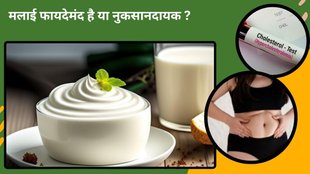 Malai Health Benefits, cream,malai,malai benefits,malai benefits for skin,milk cream benefits,malai recipes