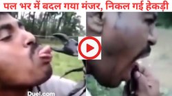 बिच्छू के सामने जीभ निकालकर उसे उकसा रहा था शख्स, एक झटके में विषैले जीव ने चखाया मजा, कमजोर दिलवाले न देखें Viral Video