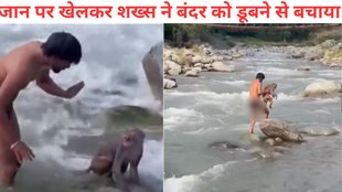 monkey viral video, Man Jumps in River to Save Monkey, Bandar ko Bachane ke Liye Nadi me Kooda Ladka