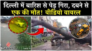 Delhi Rain: दिल्ली में बारिश से पेड़ गिरा, स्कूटी चालक के दबने से हुई मौत, CCTV वीडियो वायरल