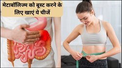 दही समेत ये 3 चीजें मेटाबॉलिज्म को देंगी नेचुरल बूस्ट, वजन से पाचन तक रहेगा ओके, एक्सपर्ट से जानिए फायदे