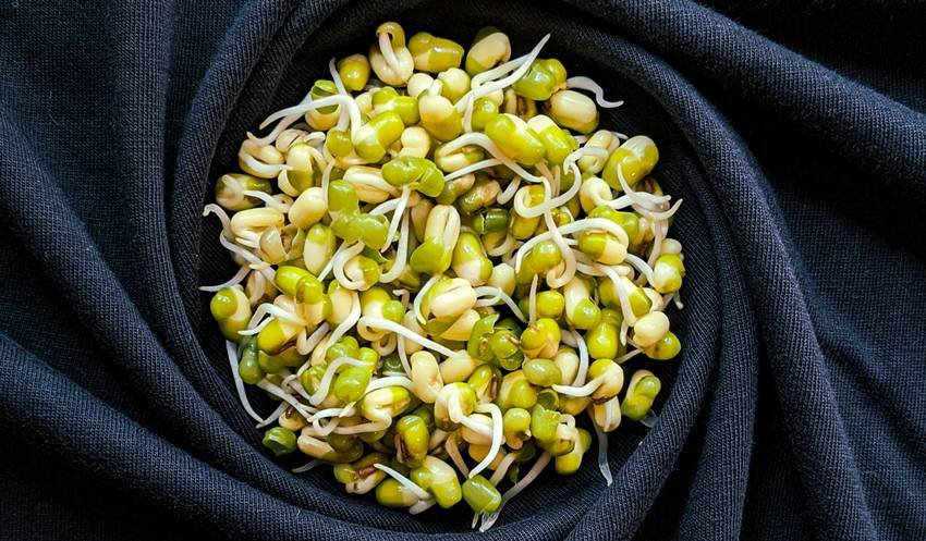 healthy diet tips for women