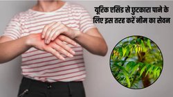 यूरिक एसिड से नहीं मिल रहा छुटकारा, इन 3 तरीकों से करें नीम के पत्तों का सेवन, जोड़ों के दर्द से भी मिलेगी राहत