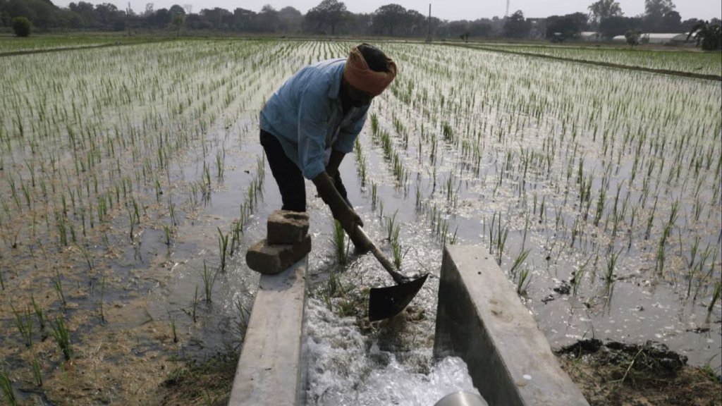 pm kisan yojana, pm kisan 20th installment, pm kisan yojana
