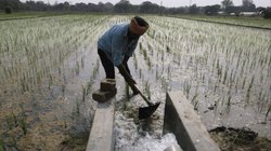 PM Kisan 20vi Kist Released: इंतजार खत्म! पीएम किसान की 20वीं किस्त रिलीज, 9.7 करोड़ किसानों को मिले 2000 रुपये, ऐसे करें लिस्ट में अपना नाम चेक