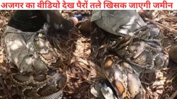 अजगर को हल्के में ले रहा था शख्स, एक झटके में सांप ने उसे चारों तरफ से जकड़ा और… Viral Video देख सूख जाएगा गला, फटी रह जाएंगी आंखें