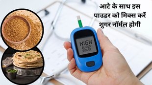 DIABETES FRIENDLY ROTI, diabetes control,blood sugar control, how to control blood sugar,wheat grain and fenugreek roti,fenugreek seeds for diabetes control,