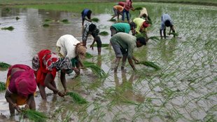 rural development