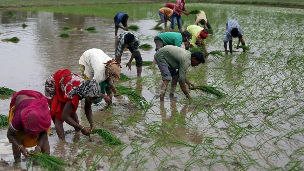 rural development