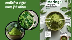 सेहत के लिए वरदान हैं ये पत्तियां, आयुर्वेद ही नहीं मेडिकल साइंस भी मानता है इन्हें नेचुरल दवा, जानिए इसके चमत्कारी फायदे