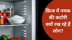 मानसून में फ्रिज की नमी से बचने के लिए नमक का इस तरह करें इस्तेमाल, जानें आसान तरीका