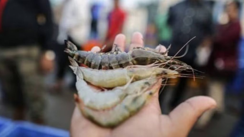 donald trump | shrimp production| andhra pradesh