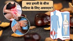 क्या इमली के बीज खाने से ठीक होता है गठिया? एक्सपर्ट से जानिए सच्चाई