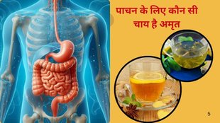 Tulsi Tea,immunity benefits of tulsi tea,health benefits of tulsi tea,health benefits of ginger tea,ginger vs tulsi tea,Ginger Tea,digestion benefits of ginger tea,