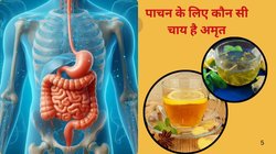 Ginger Tea vs Tulsi Tea: पाचन को दुरुस्त करने के लिए Ginger Tea पिएं या फिर तुलसी की चाय, जानिए