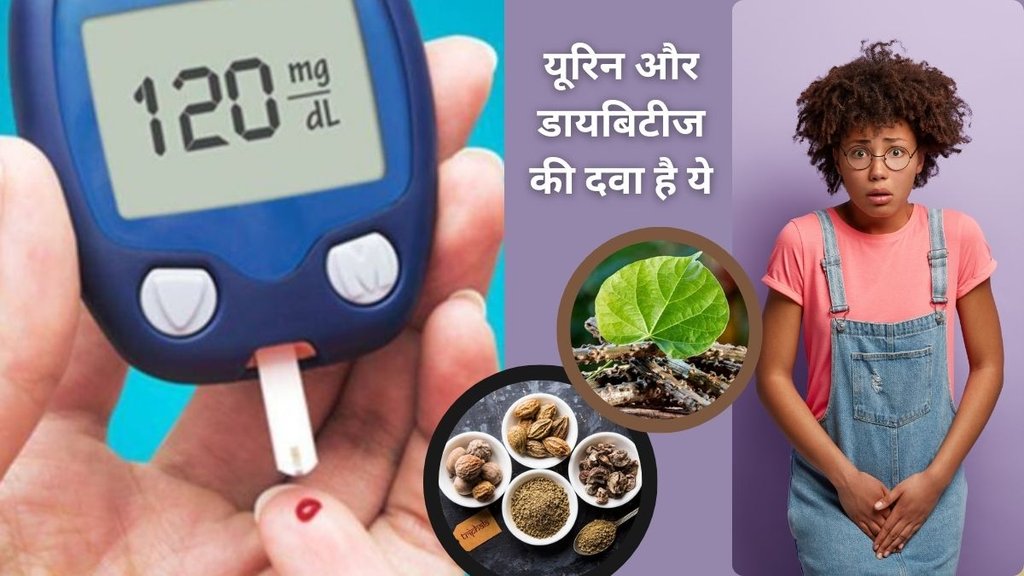 Ayurvedic herbs for diabetes, Natural remedies for frequent urination, Ayurvedic treatment for urine problems, Herbal solution for blood sugar control,